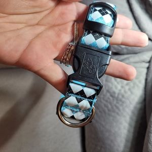 💚5/$20💚 NWOT Medium Argyle Dog Collar